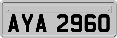 AYA2960