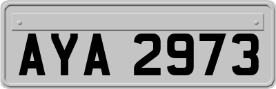 AYA2973