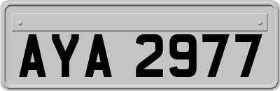 AYA2977