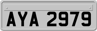 AYA2979