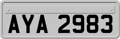 AYA2983