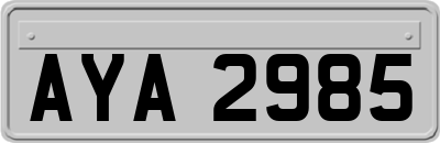 AYA2985