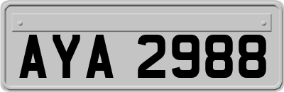 AYA2988