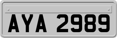 AYA2989