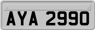 AYA2990