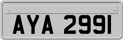 AYA2991
