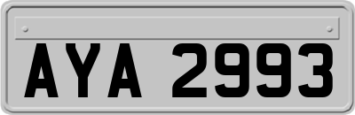 AYA2993