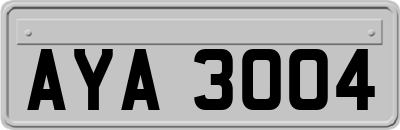 AYA3004