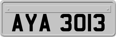 AYA3013