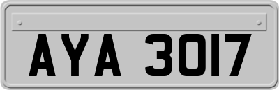 AYA3017