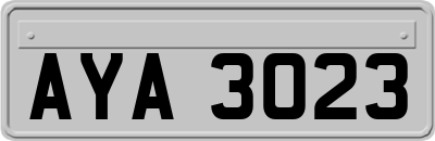 AYA3023