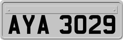 AYA3029