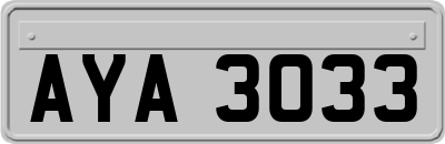 AYA3033