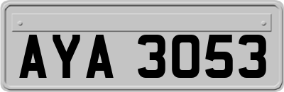 AYA3053