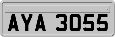 AYA3055