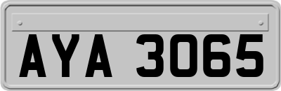 AYA3065