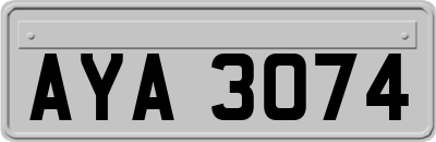 AYA3074