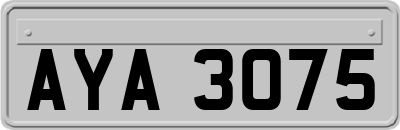 AYA3075