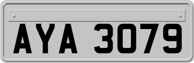 AYA3079