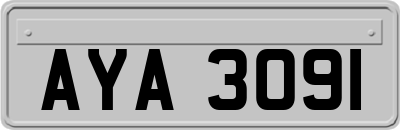 AYA3091