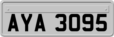 AYA3095