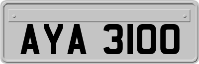 AYA3100