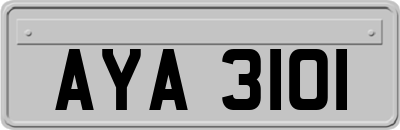 AYA3101