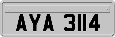 AYA3114
