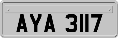 AYA3117