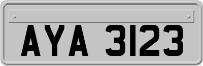 AYA3123