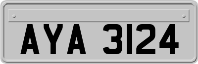 AYA3124