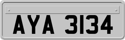 AYA3134