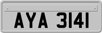 AYA3141