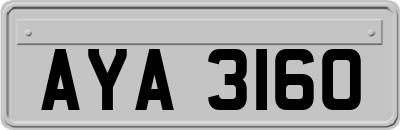 AYA3160