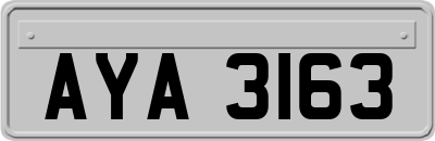 AYA3163
