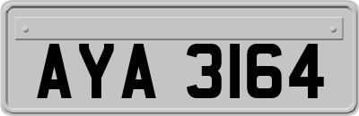 AYA3164