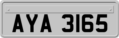 AYA3165