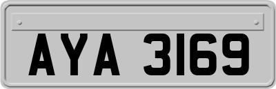 AYA3169