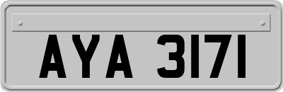 AYA3171