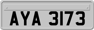 AYA3173