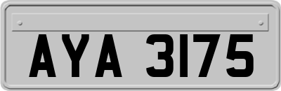 AYA3175