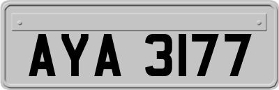 AYA3177