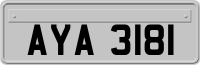 AYA3181