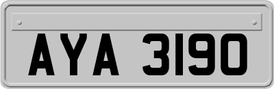 AYA3190
