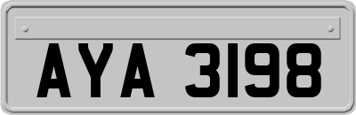 AYA3198