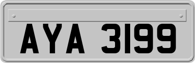 AYA3199