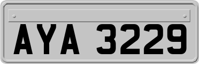 AYA3229