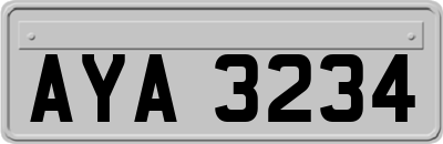 AYA3234