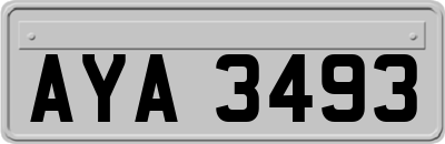 AYA3493