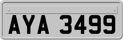 AYA3499
